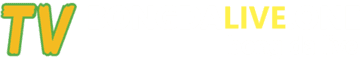 xe wigo